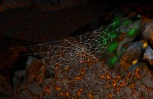 Spider Web.png